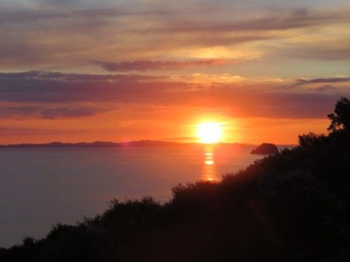 ​​Pohutukawa Coastal Chalets