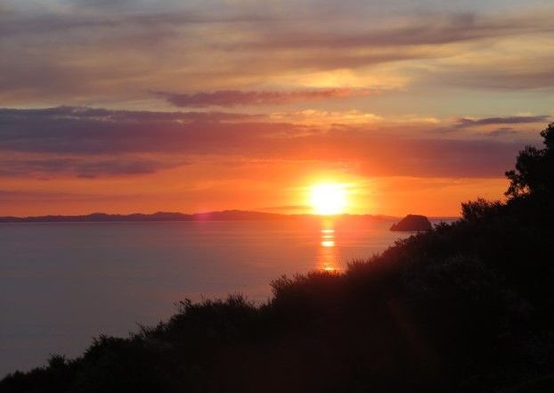 ​​Pohutukawa Coastal Chalets