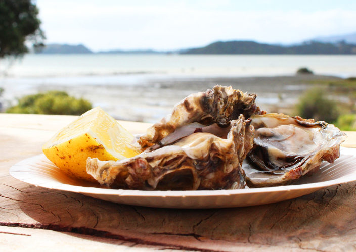 Coromandel Oyster Company