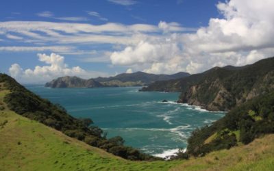 The Coromandel Webcams