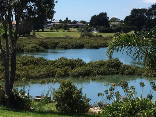 Holiday Park Clarks Beach – Close to Auckland Airport
