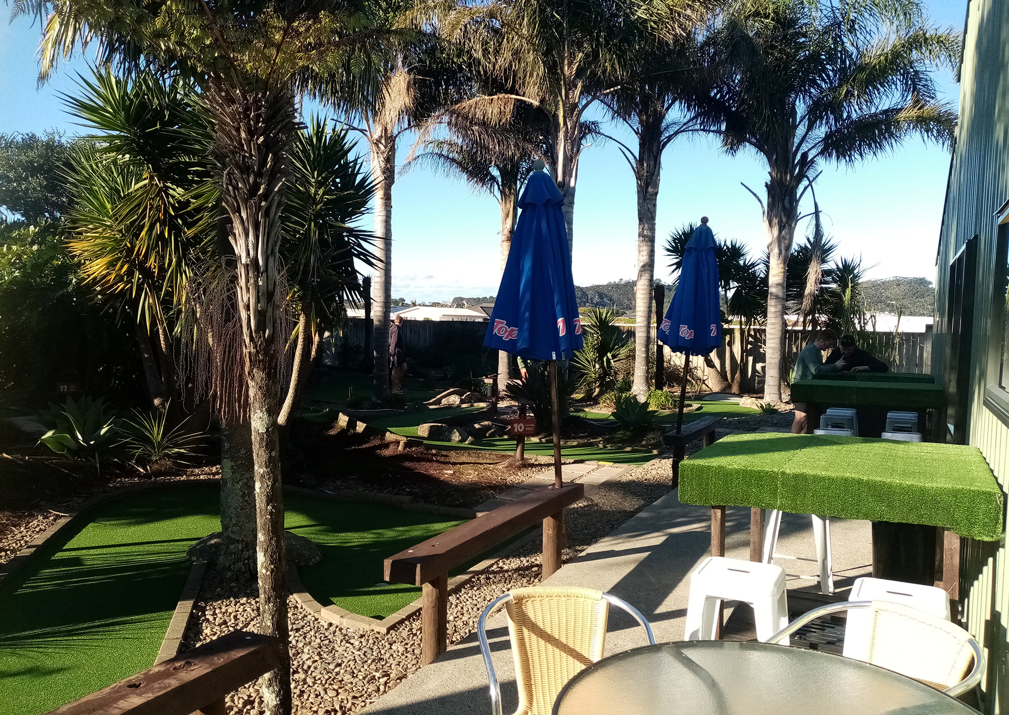 palmtrees and sun umbrellas with table in foreground