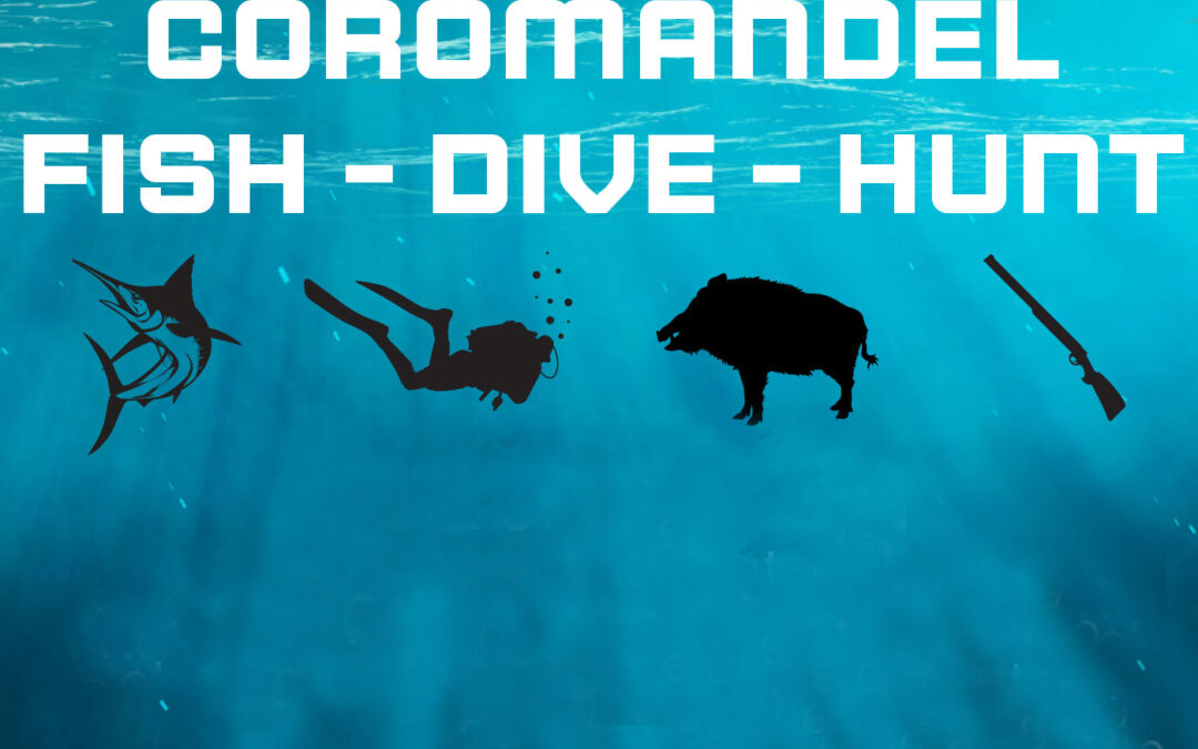 Coromandel Fish-Dive-Hunt