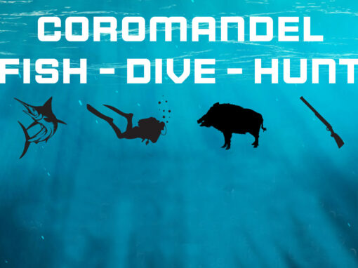 Coromandel Fish-Dive-Hunt