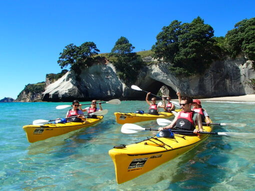 Cathedral Cove Kayaks