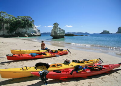 red and yellow kayaks on beach