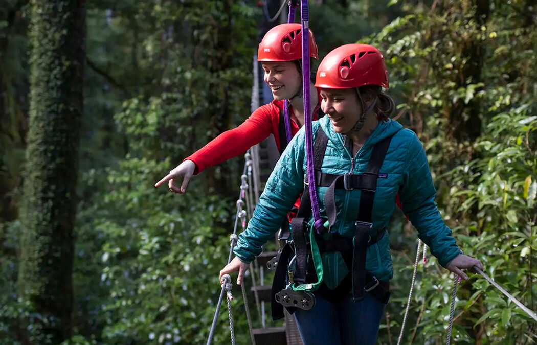 Rotorua Canopy Tours