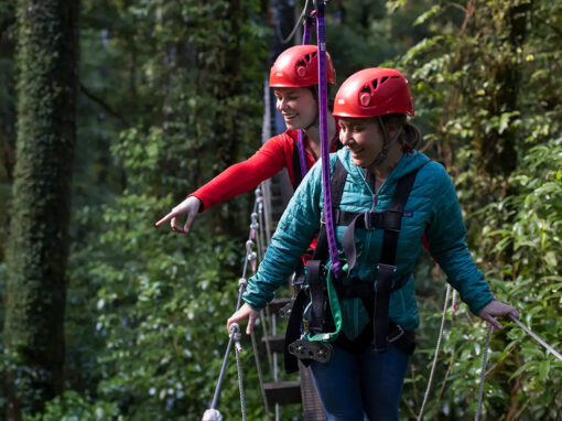 Rotorua Canopy Tours