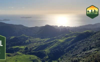 Ridge Runner Coromandel