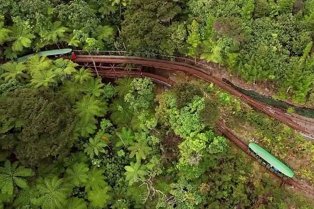 native NZ bush fromn the air, with a tain track and train carriages in it