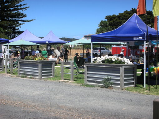 Coromandel Town Saturday Market