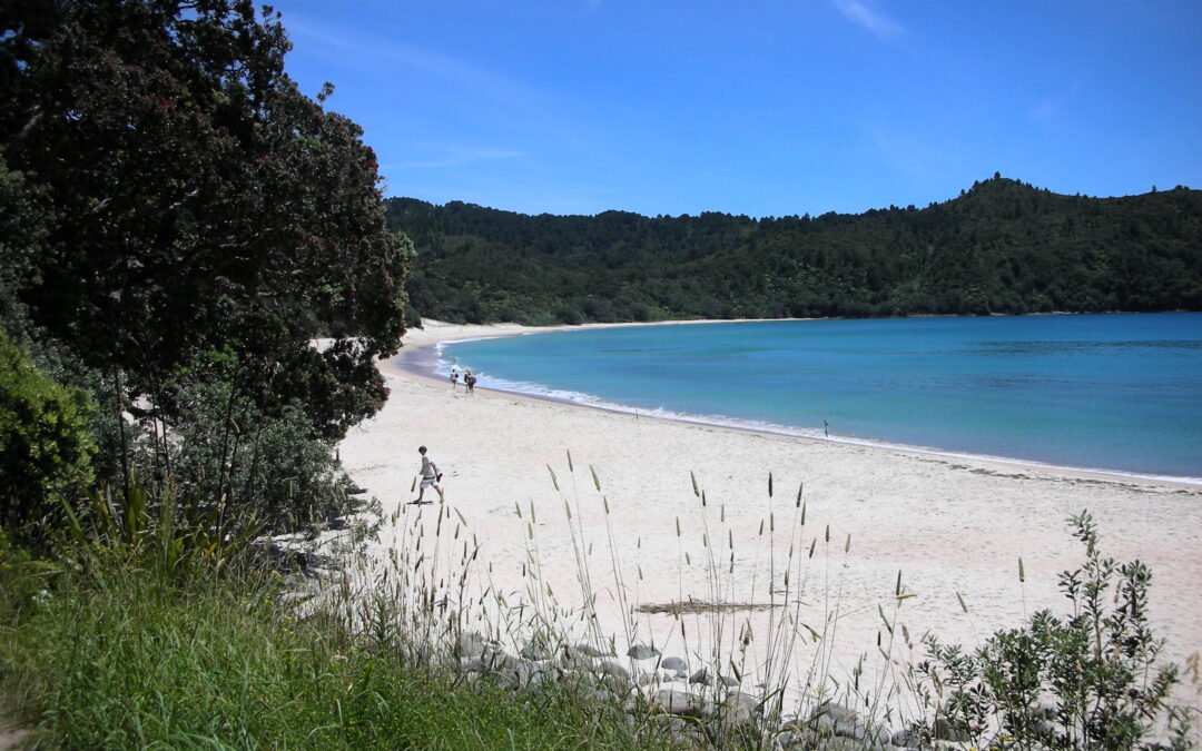 The Coromandel Events