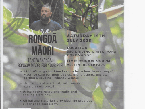 Tane Wananga  Rongoa for your pepi