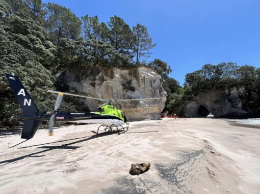 Helicopter Scenic Flights & Excursions