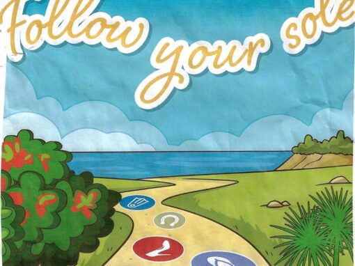 Coromandel Tracks & Trails Guide