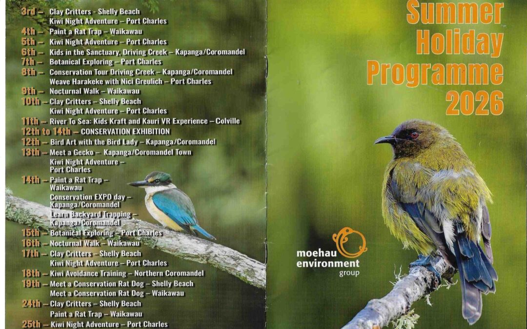 Summer Holiday Programme 2026 Moehau Environment Group