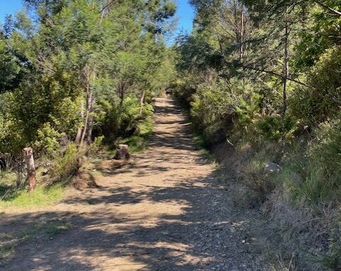 Medlock & Harray Trails