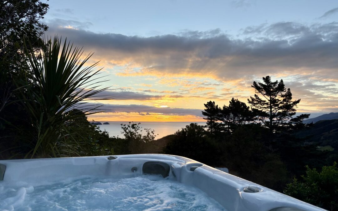 Whitestar Station Farm Park & Stays