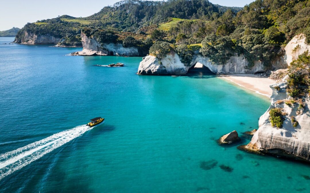 Ocean Leopard  –  Cathedral Cove Boat Tours