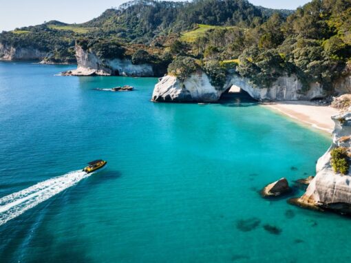 Ocean Leopard  –  Cathedral Cove Boat Tours
