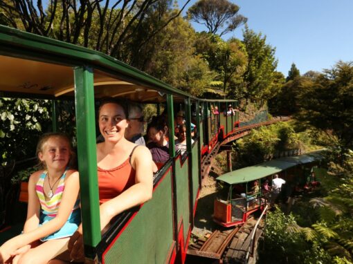 Driving Creek